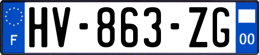 HV-863-ZG