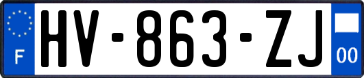 HV-863-ZJ