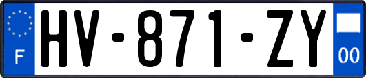 HV-871-ZY