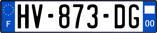 HV-873-DG