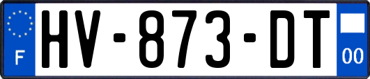 HV-873-DT