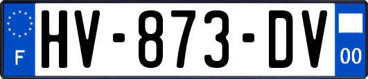HV-873-DV