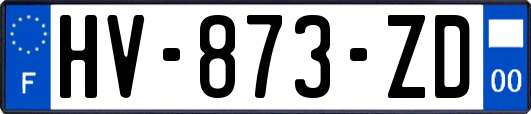 HV-873-ZD