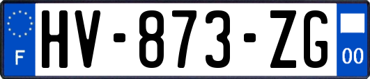 HV-873-ZG