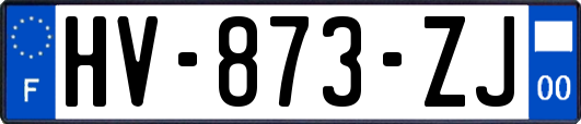HV-873-ZJ