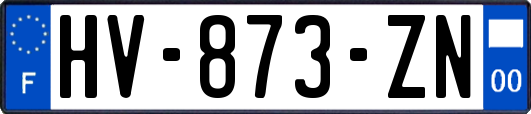 HV-873-ZN