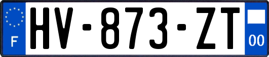 HV-873-ZT