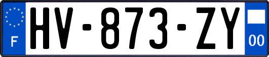 HV-873-ZY