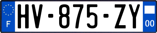 HV-875-ZY