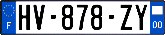 HV-878-ZY