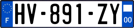 HV-891-ZY