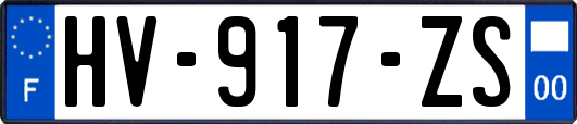 HV-917-ZS