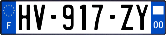 HV-917-ZY