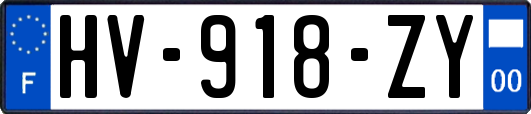 HV-918-ZY