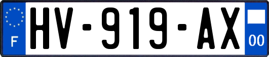 HV-919-AX