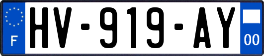 HV-919-AY