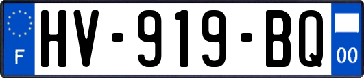 HV-919-BQ