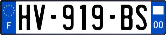 HV-919-BS