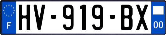 HV-919-BX