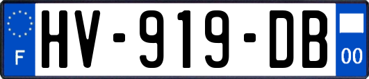 HV-919-DB