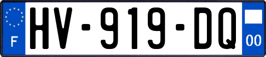 HV-919-DQ