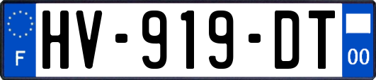 HV-919-DT