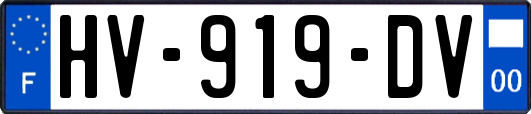 HV-919-DV