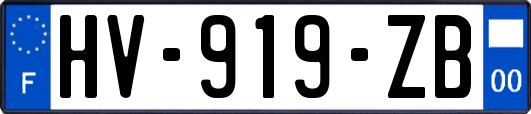 HV-919-ZB