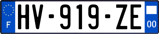 HV-919-ZE