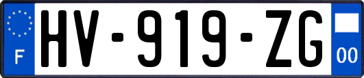 HV-919-ZG