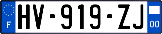 HV-919-ZJ