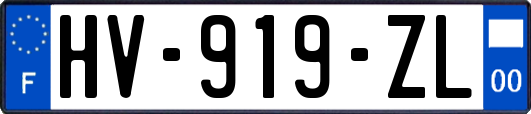HV-919-ZL