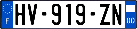HV-919-ZN