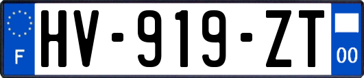HV-919-ZT