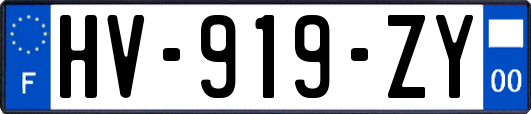 HV-919-ZY
