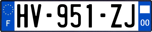 HV-951-ZJ