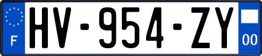 HV-954-ZY
