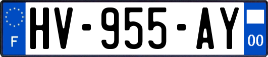 HV-955-AY