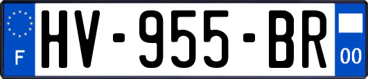 HV-955-BR