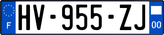 HV-955-ZJ