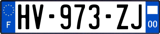 HV-973-ZJ