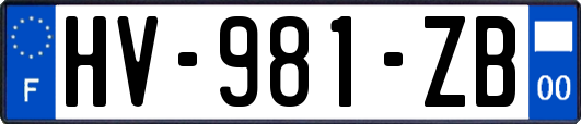 HV-981-ZB