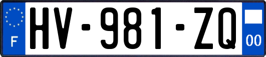 HV-981-ZQ
