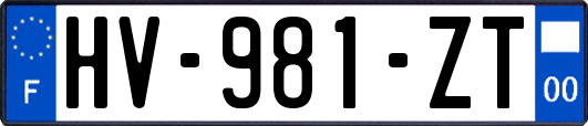 HV-981-ZT