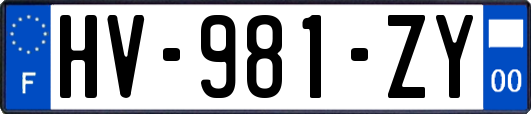 HV-981-ZY