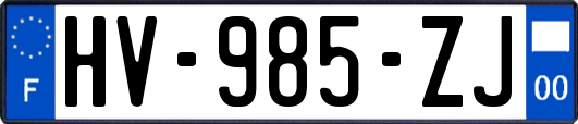 HV-985-ZJ