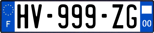 HV-999-ZG