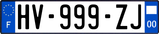 HV-999-ZJ
