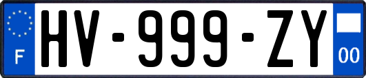 HV-999-ZY