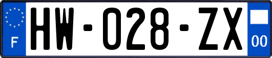 HW-028-ZX